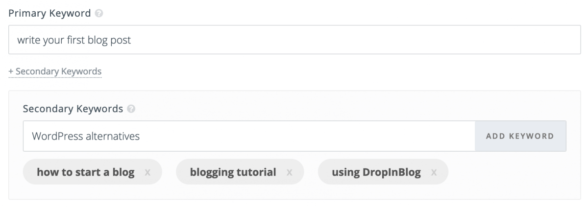 seo analysis tool