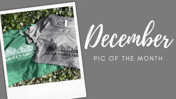 December 2021: Pic of the Month Winner!