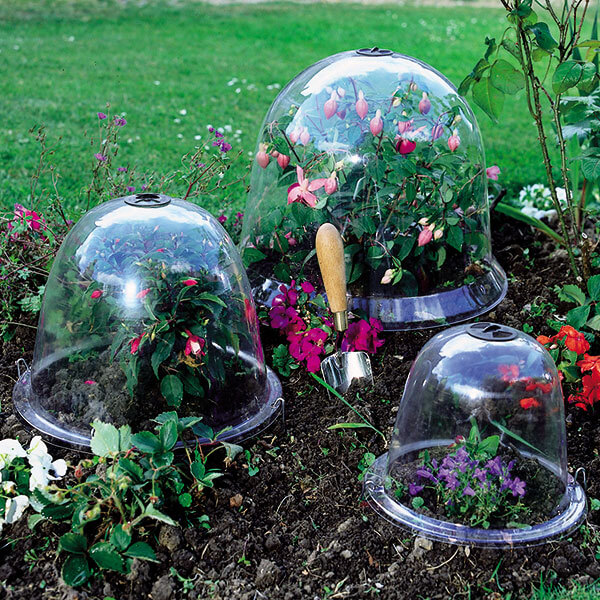 An A -to-Z on Cloches For Your Garden