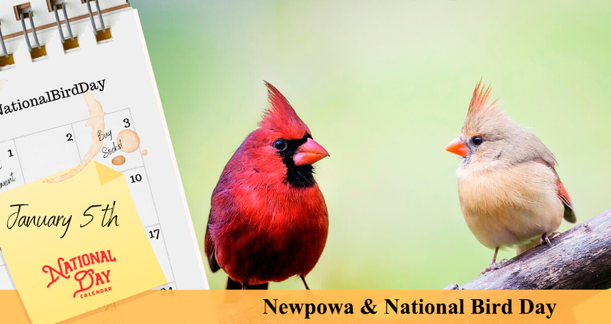 NEWPOWA & NATIONAL BIRD DAY