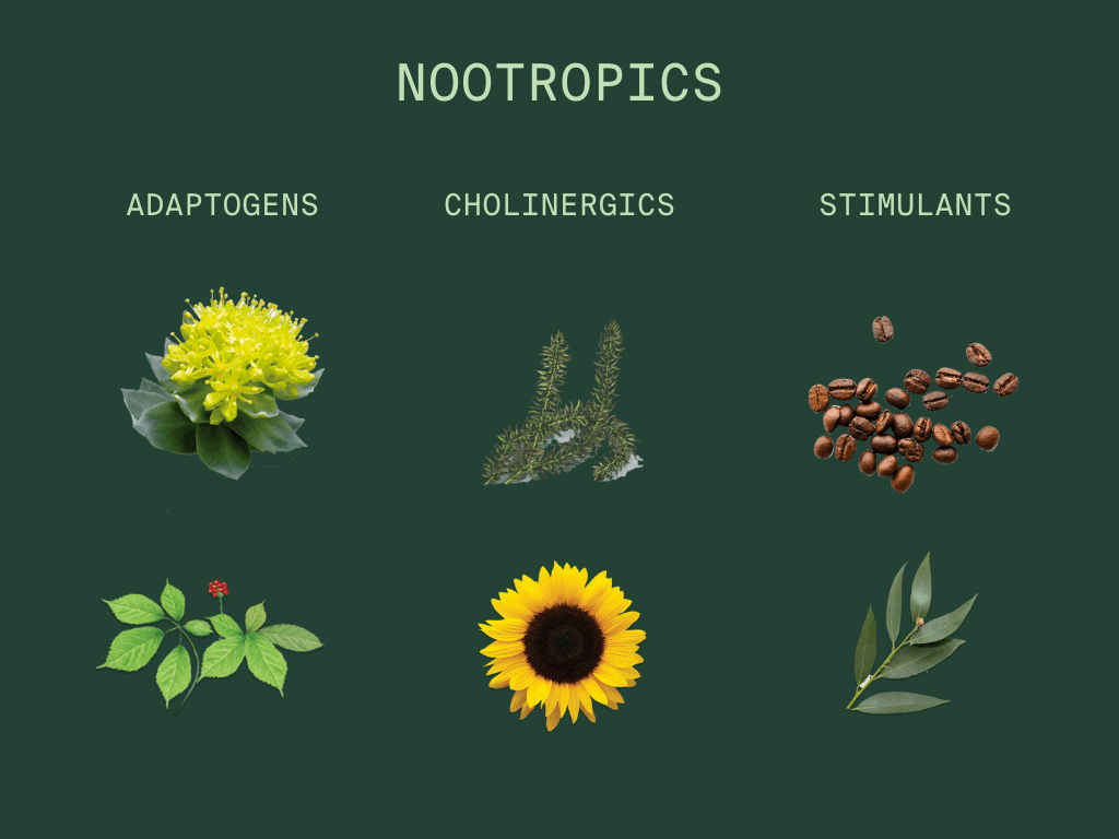 Nootropics: Mood, energy, and focus