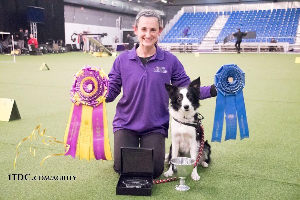 Interview with Westminster Agility Champion Jessica Ajoux and Fame(US)