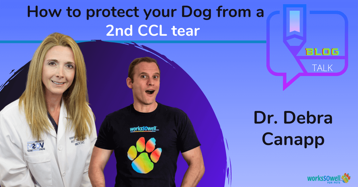 How to protect your dog from a 2nd CCL Tear?