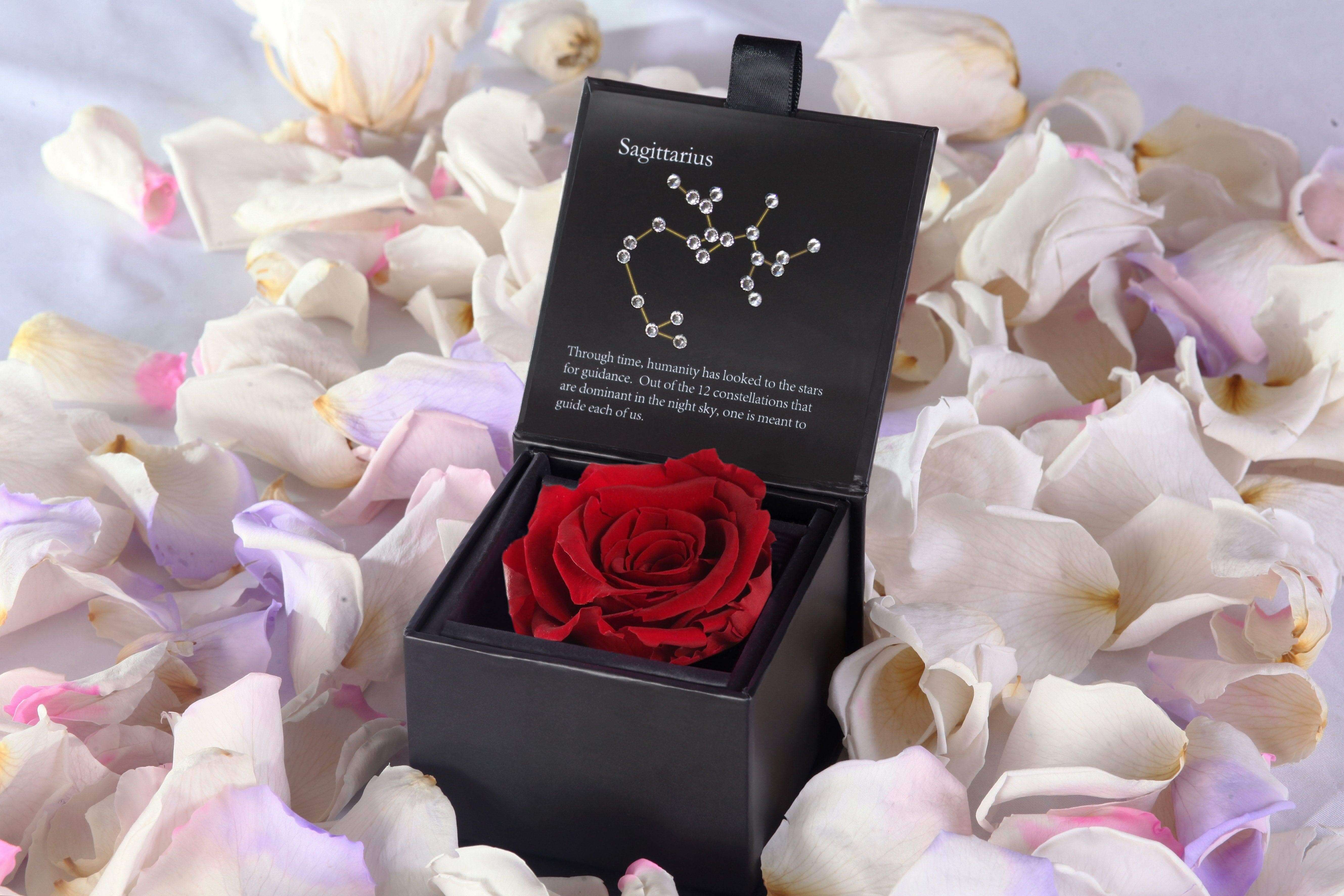 Preserved Roses Zodiac Signs and Love Compatibility