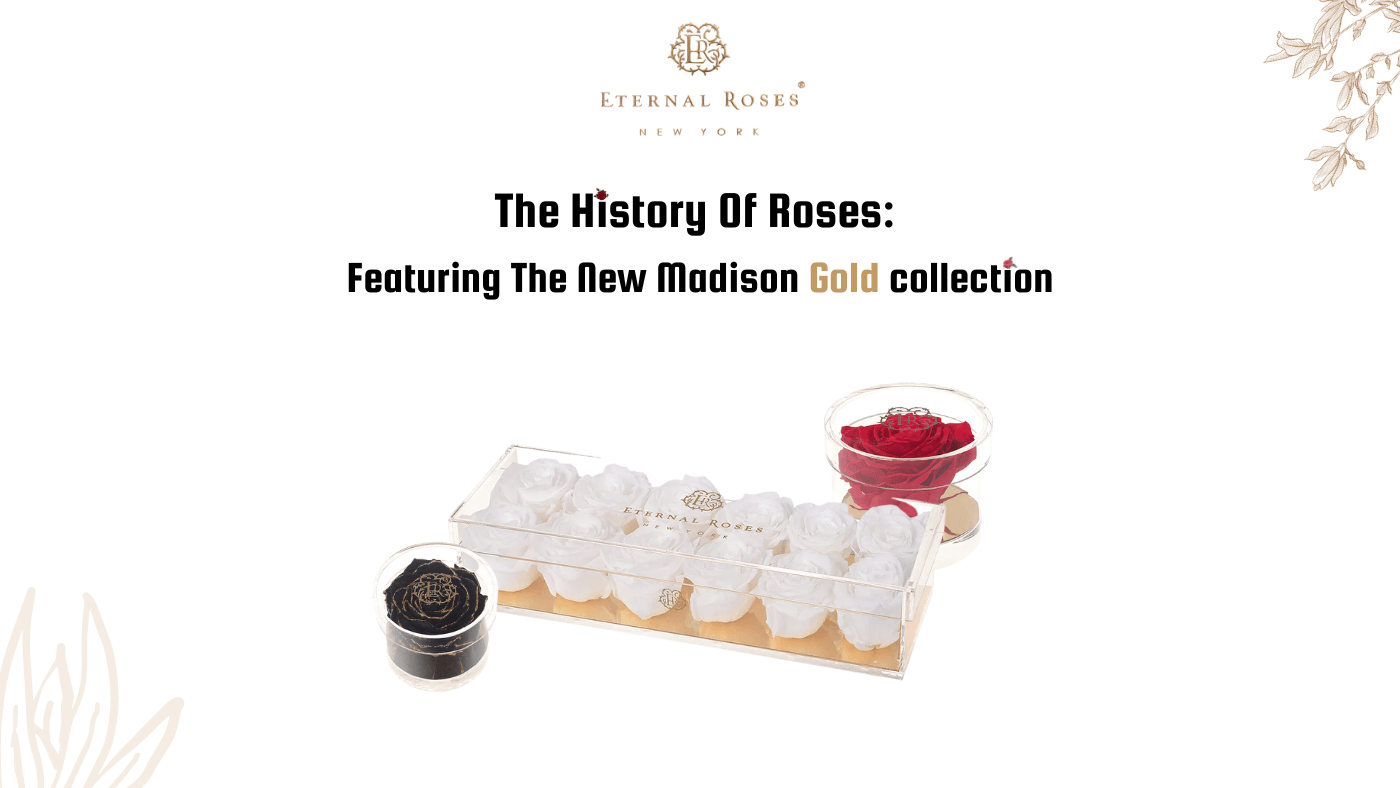 The History Of Roses: Featuring The New Madison Gold Collections