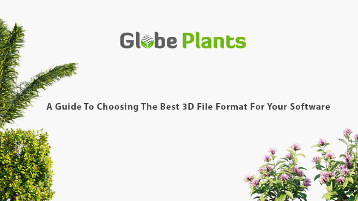 Globe Plants: A Guide To Choosing The Best 3D File Format For Your Software