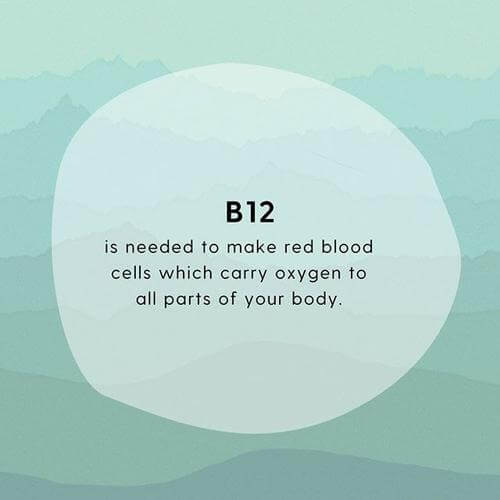 B12 for Plant Based and Vegan Diets