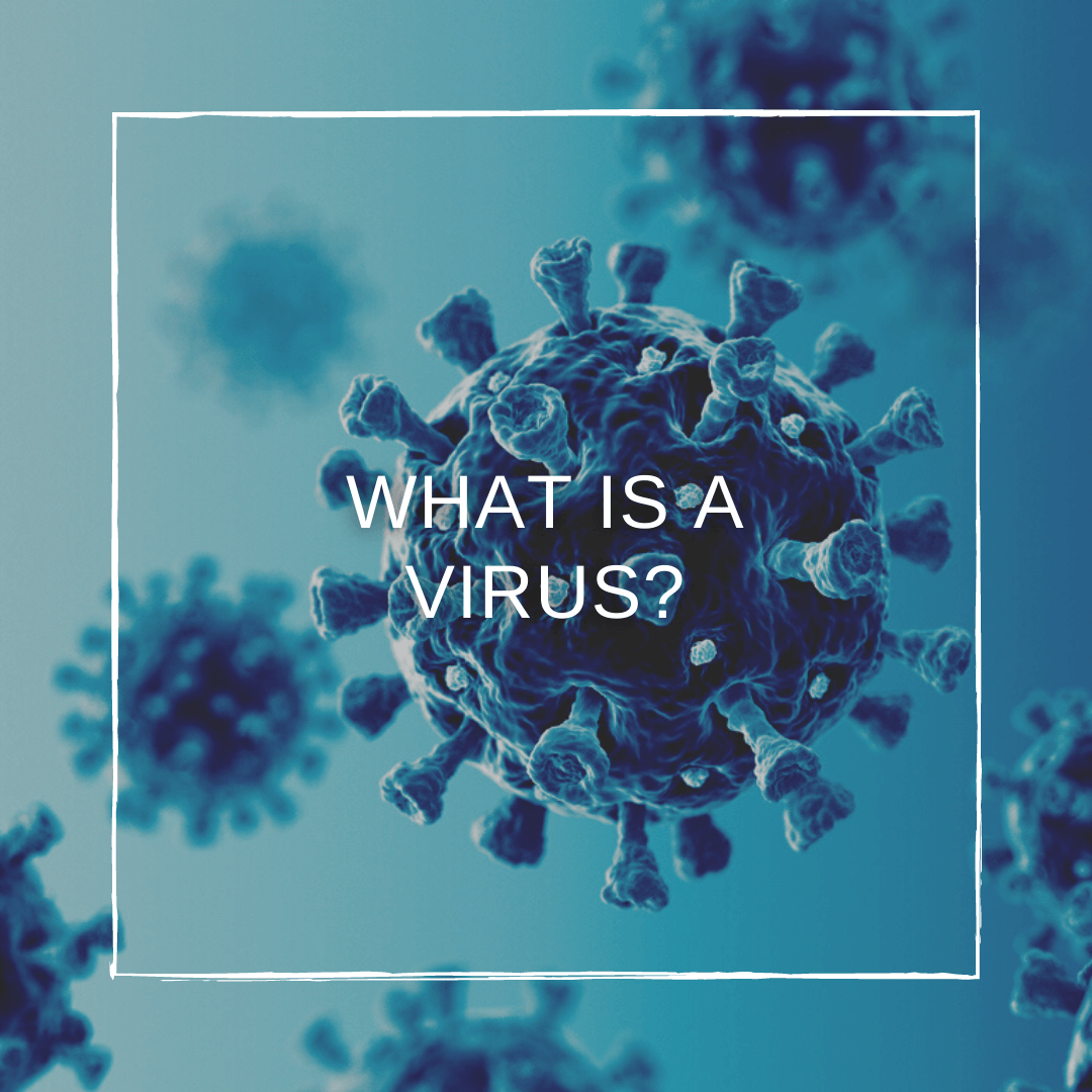 Explained: What is a Virus?