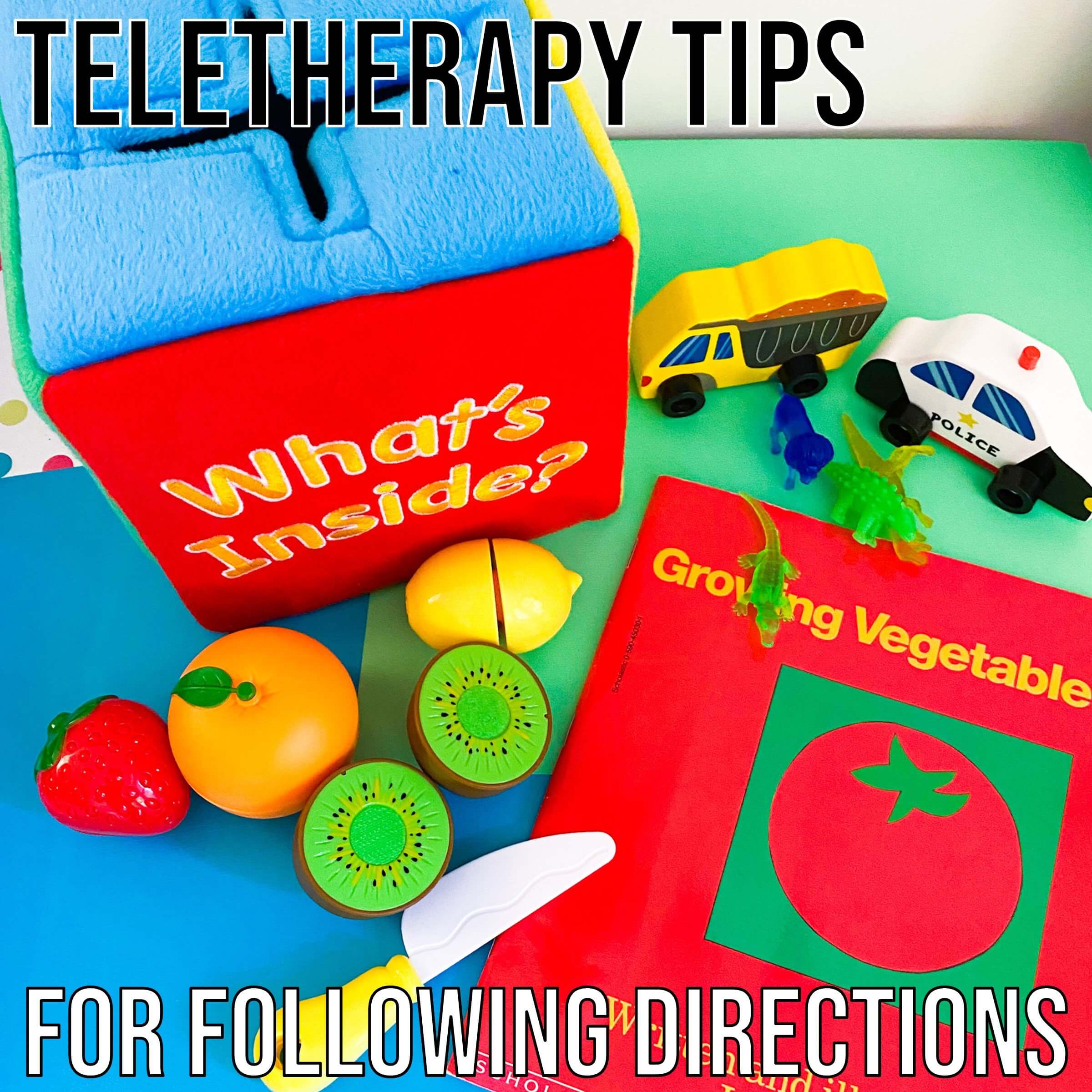 Following Directions in Teletherapy