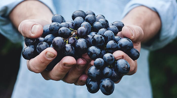 Grape Juice vs. Wine: Differences + Health Benefits