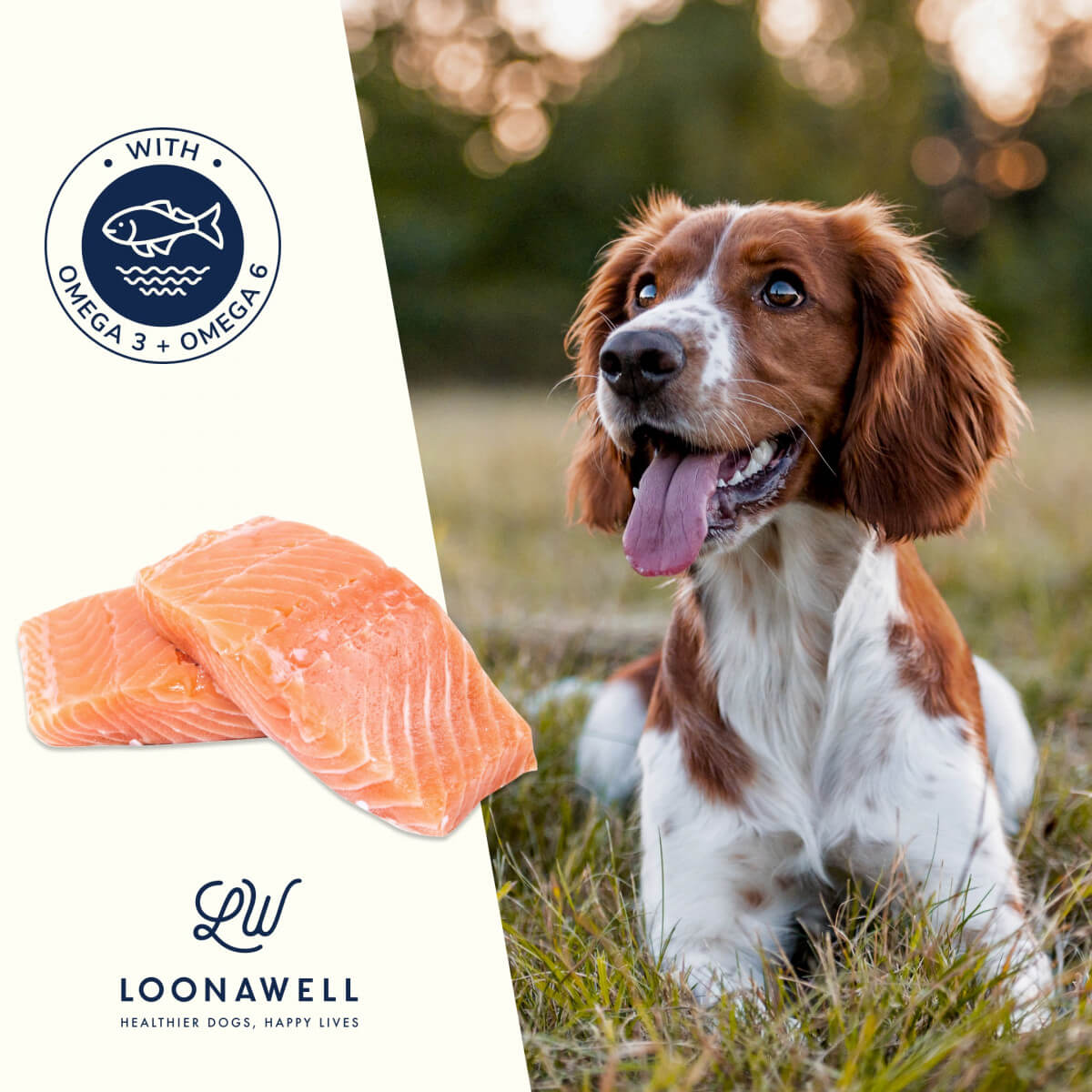 The One Key Benefit of Salmon For Dogs
