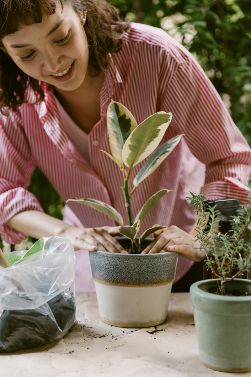 Top 8 Garden Tools Every Green Thumb Should Consider!