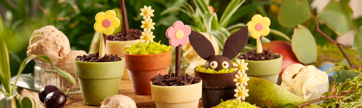 Go potty for chocolate blooms