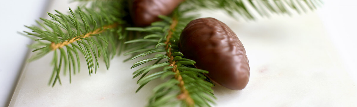 Plant based pine fruit chocolate praline