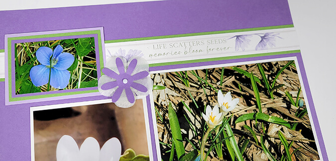 Petals Page Kit - Not your garden-variety layouts.