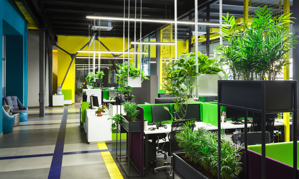 Productive Plants - The Many Benefits of Office Botanicals