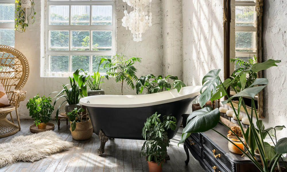 Create a Dream Home Spa with Plants