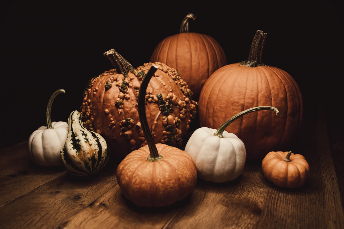 Spooky Season Healthier Recipe Round-Up