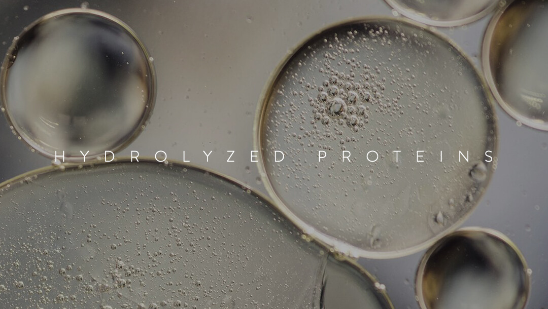 Why You Need To Use Hydrolyzed Proteins
