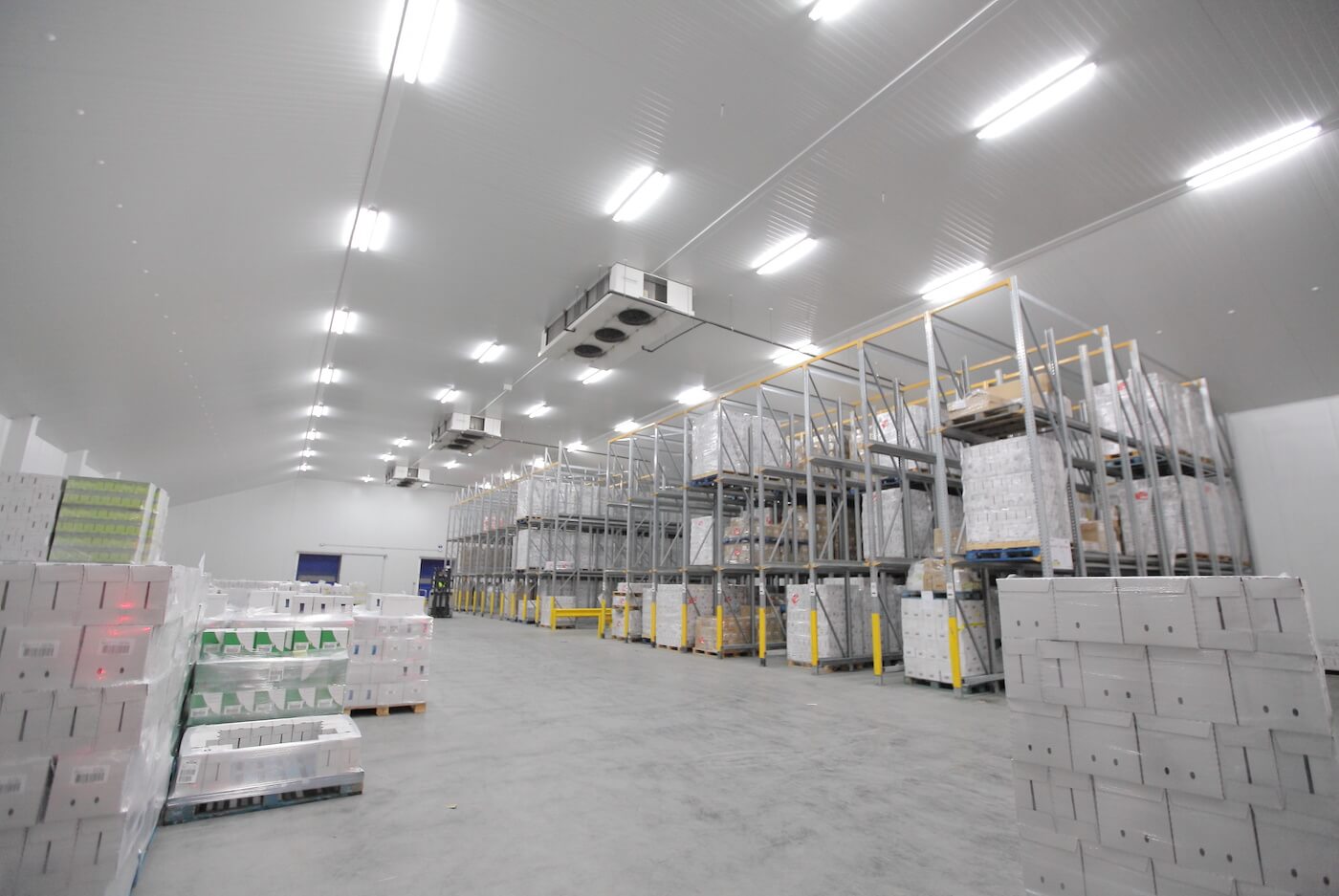 Cold Storage Warehousing Equipment 101: A Complete Guide