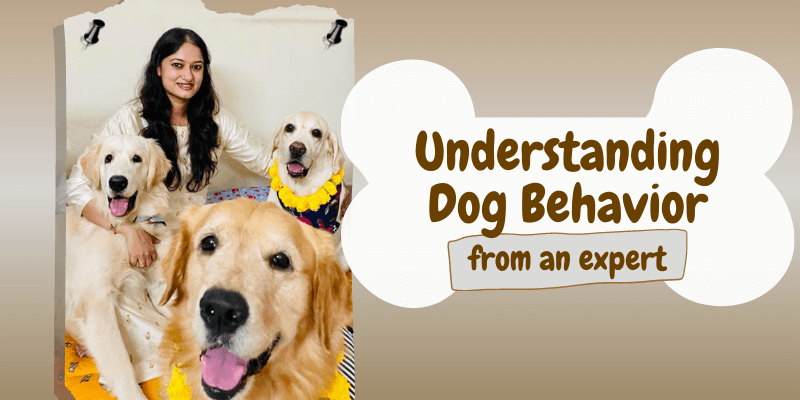Expert Cues to Help Understand Dog Behavior