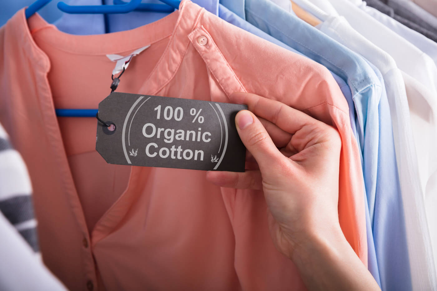 Best Organic Clothing Brands For Showing Off Your Values