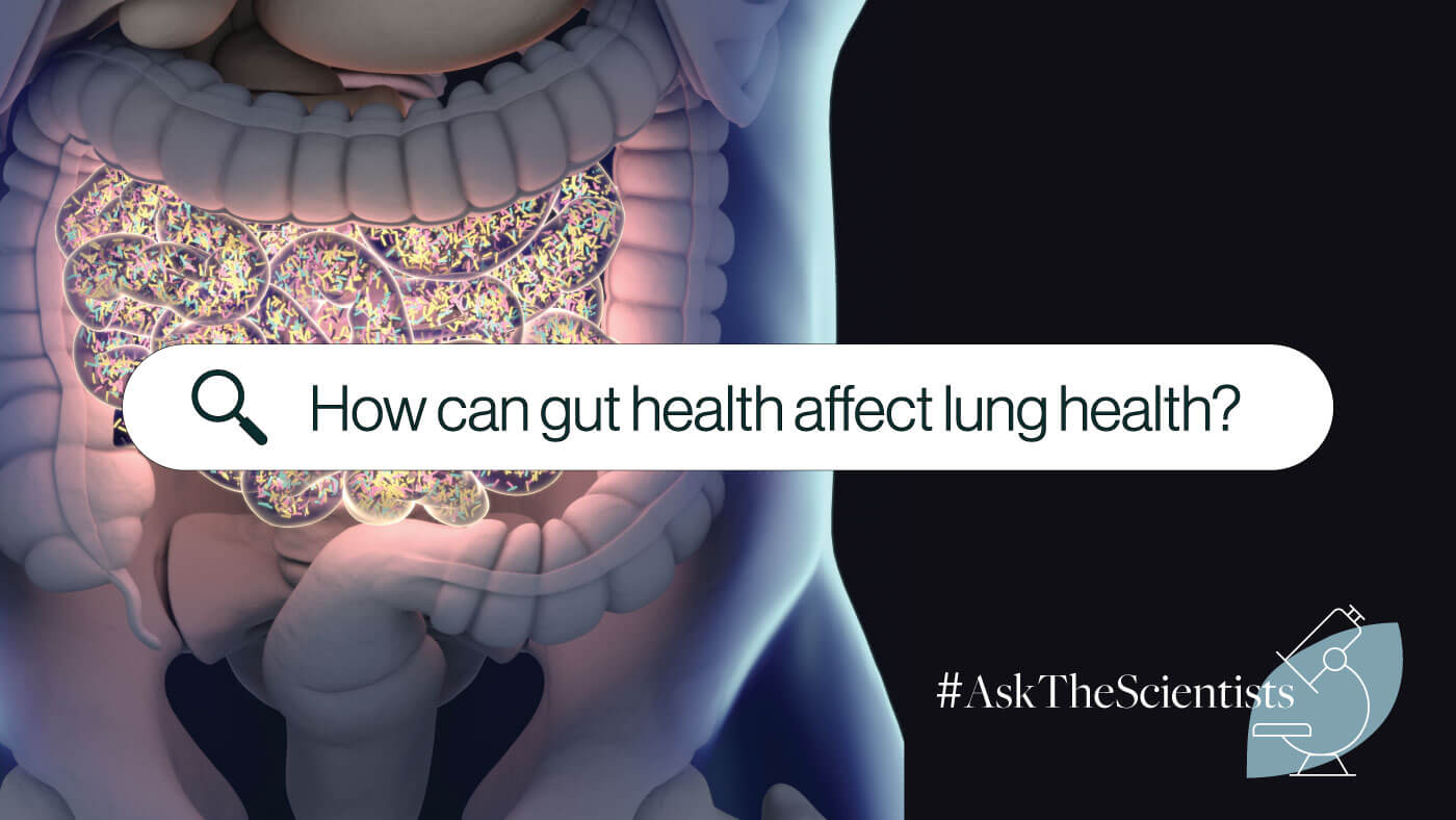 How Can Gut Health Affect Lung Health?
