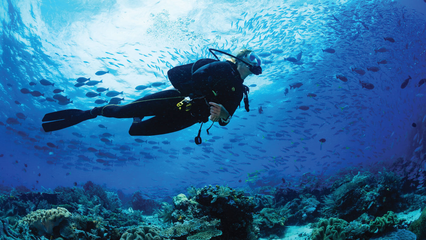 Scuba Diving Health Benefits