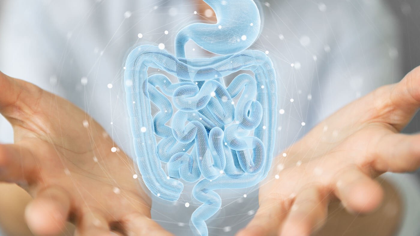 Seven Ways Gut Health Supports Overall Health