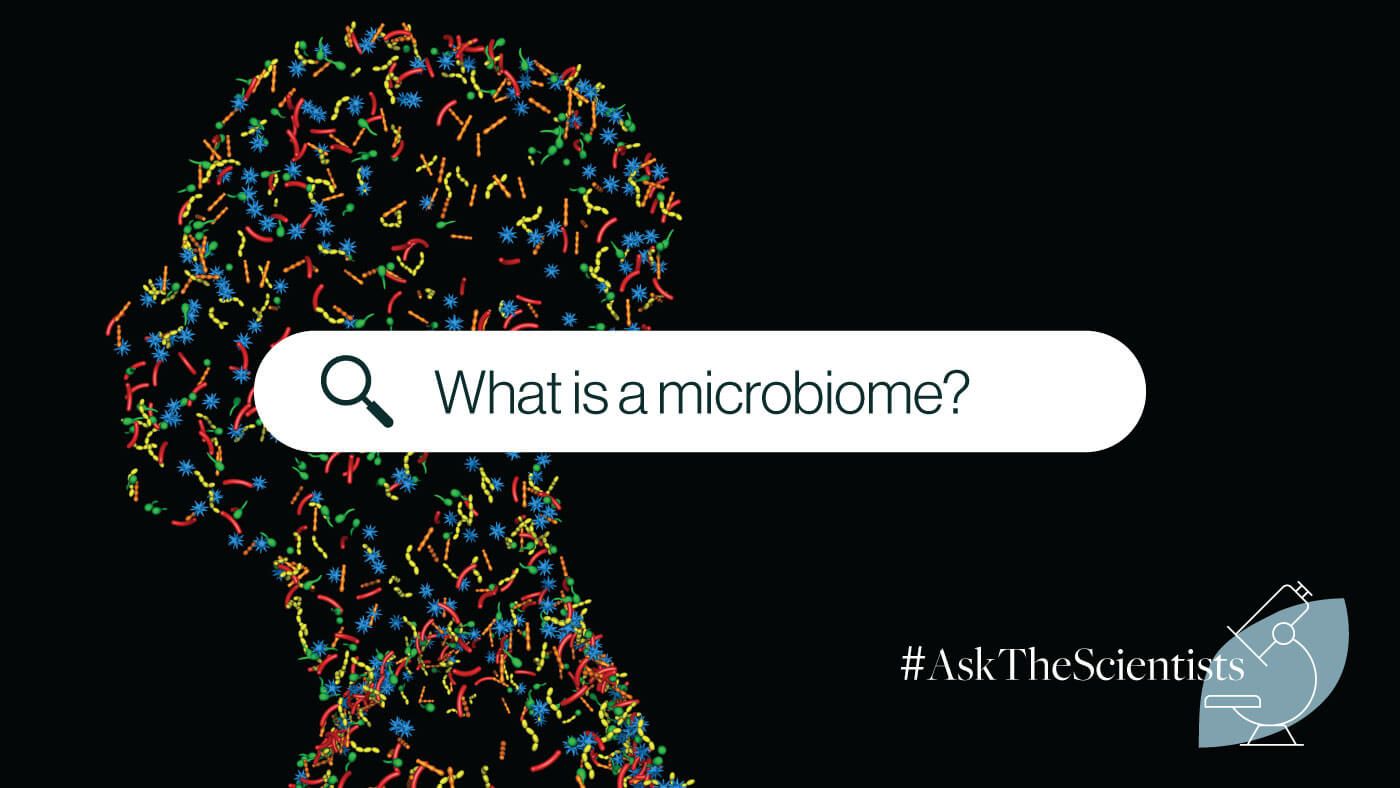 What Is the Microbiome?