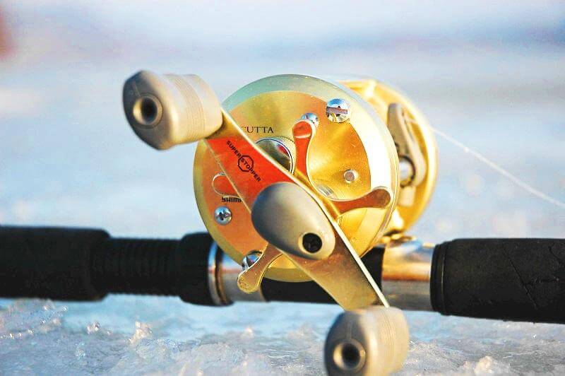 Shimano Calcutta Series Product Review