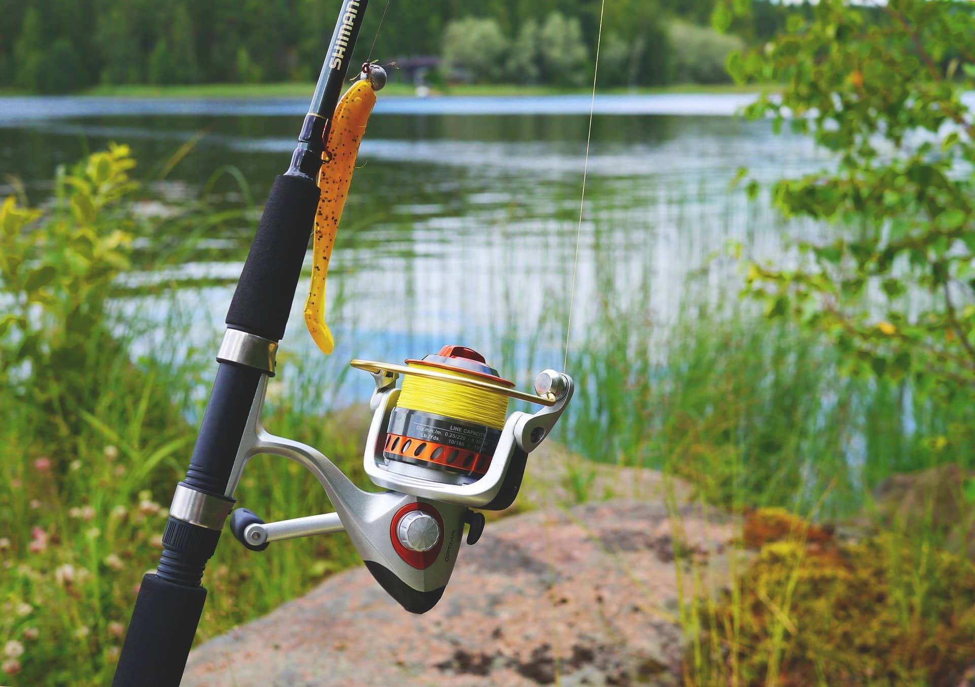 Best Telescopic Fishing Rod Reviews Every Angler Should Know