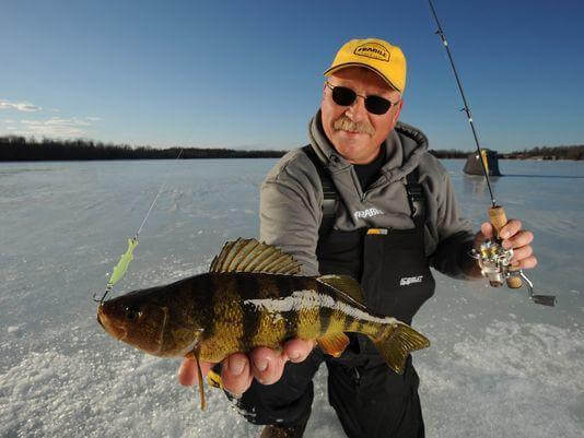 How to Fish for Perch Like a Boss - TOP 5 Effective Tips