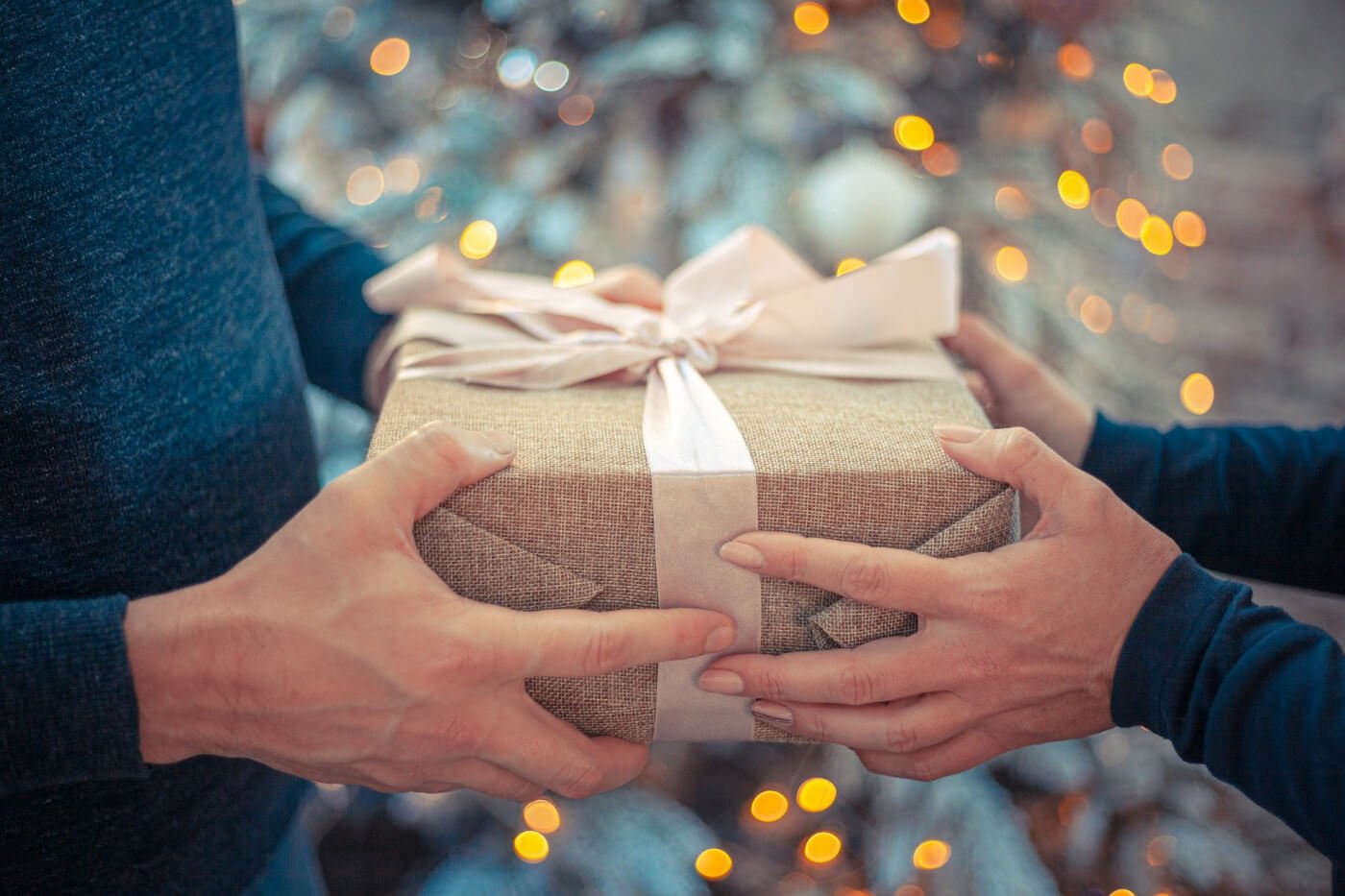 Ecolution Gift Guide - Best Gifts Under $150