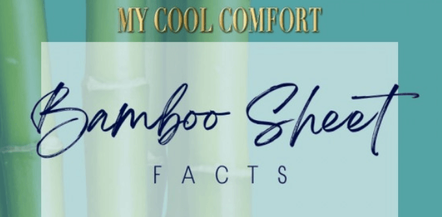 Bamboo Sheet Facts You Might Not Have Known