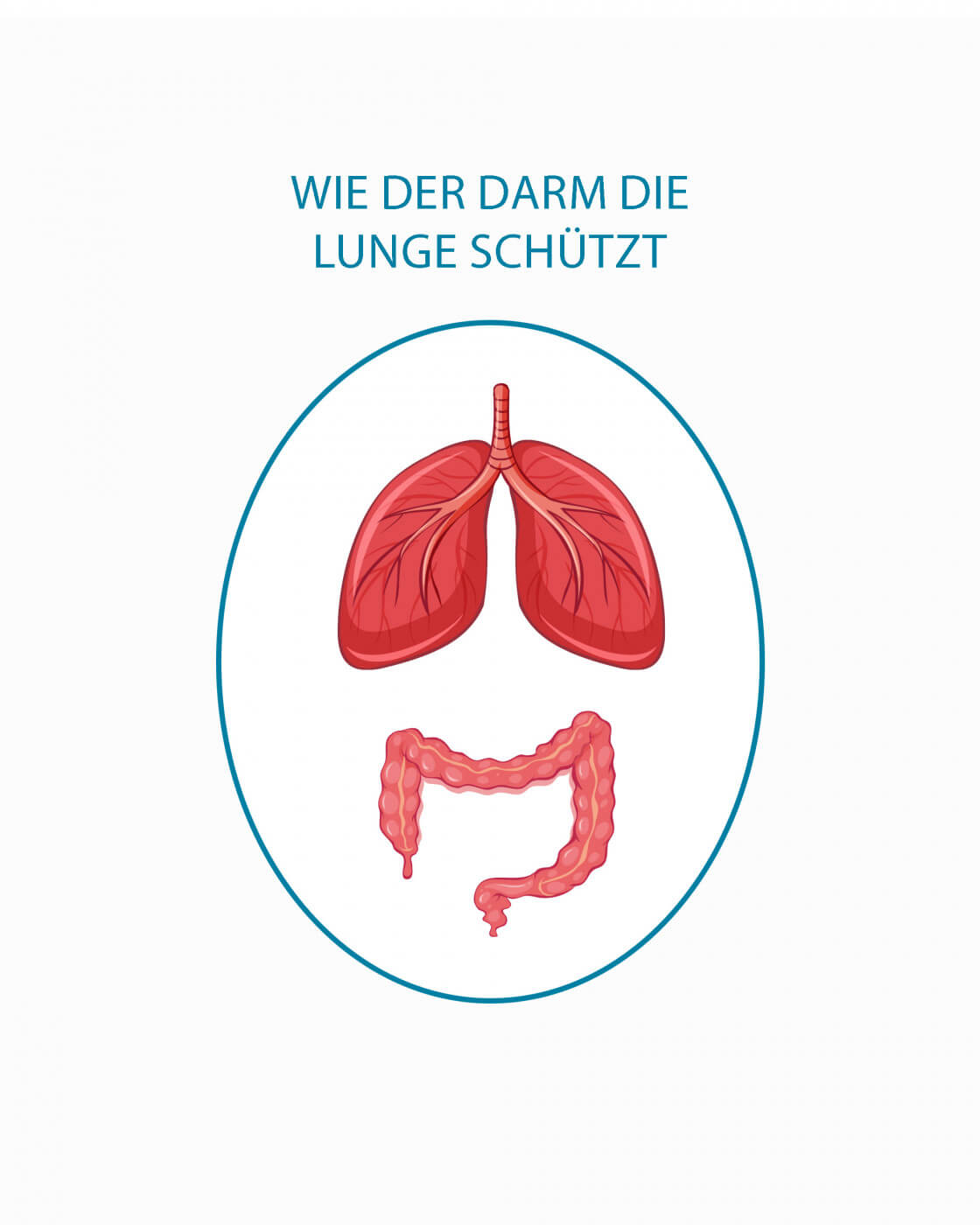 Darm-Lungen-Achse: Zusammenarbeit von Darm und Lunge