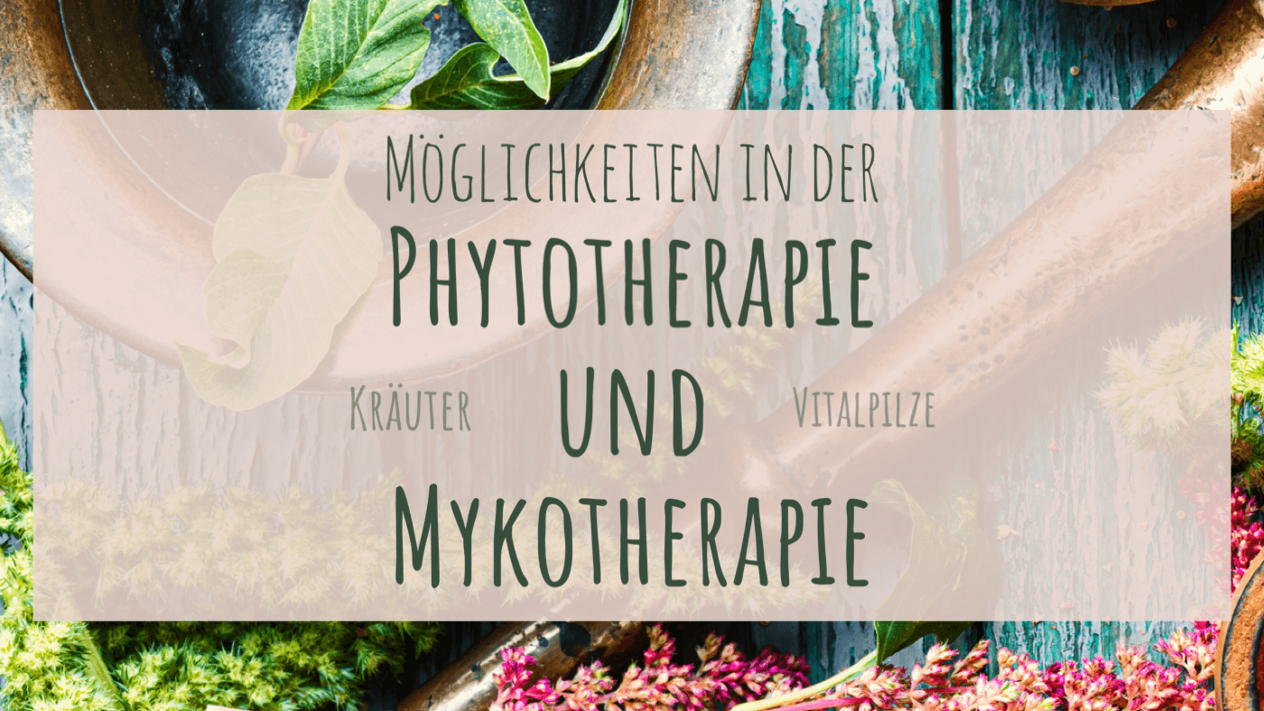 Möglichkeiten in der Phytotherapie und Mykotherapie