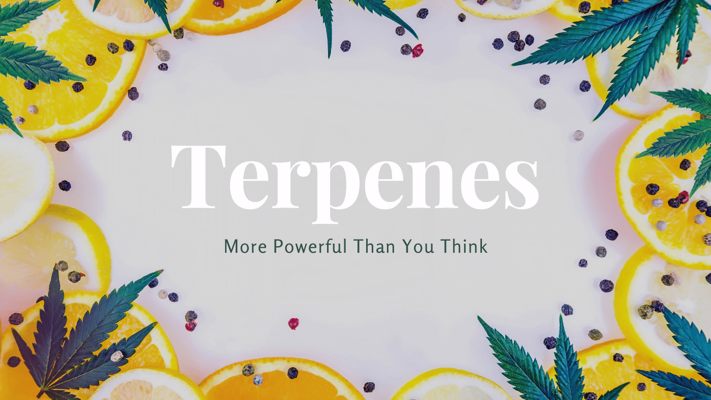 Three Ways Terpenes Can Improve Your Cannabis Experience