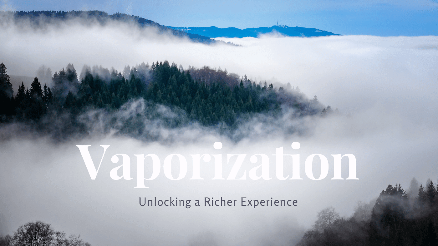 Why Dry Herb Vaporization is Growing in Popularity