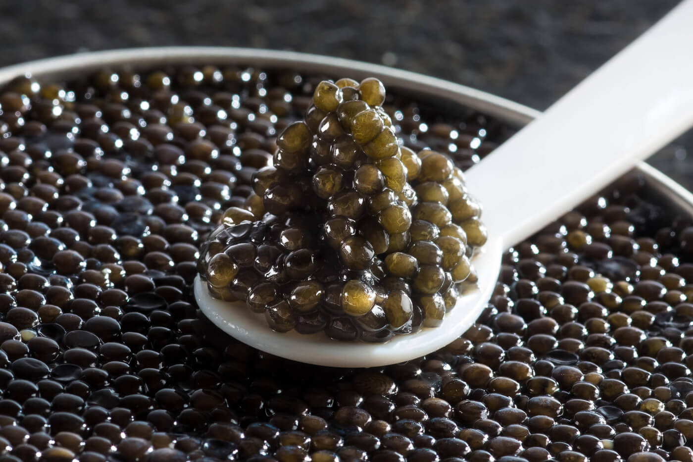 Caviar Sampler: Test the Best