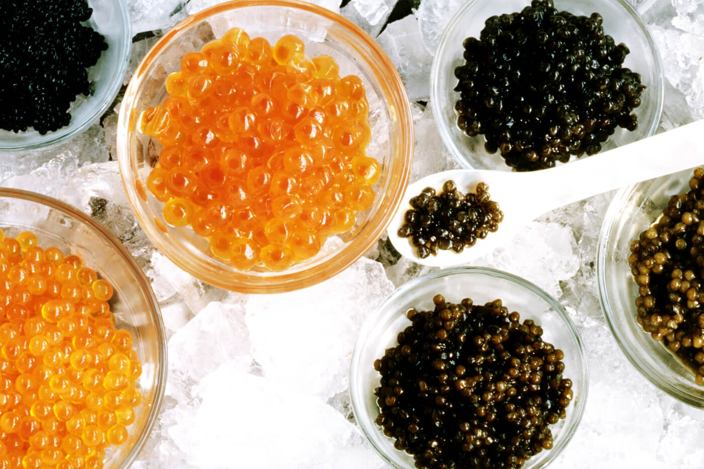 Where Does Caviar Come From? Everything You Need to Know