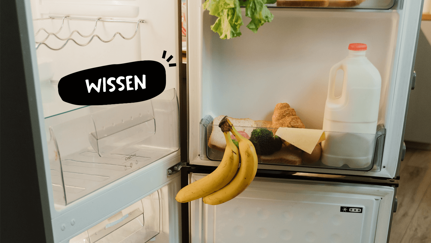 Kühlschrank einräumen und Co - Tipps für die richtige Lagerung deiner Lebensmittel