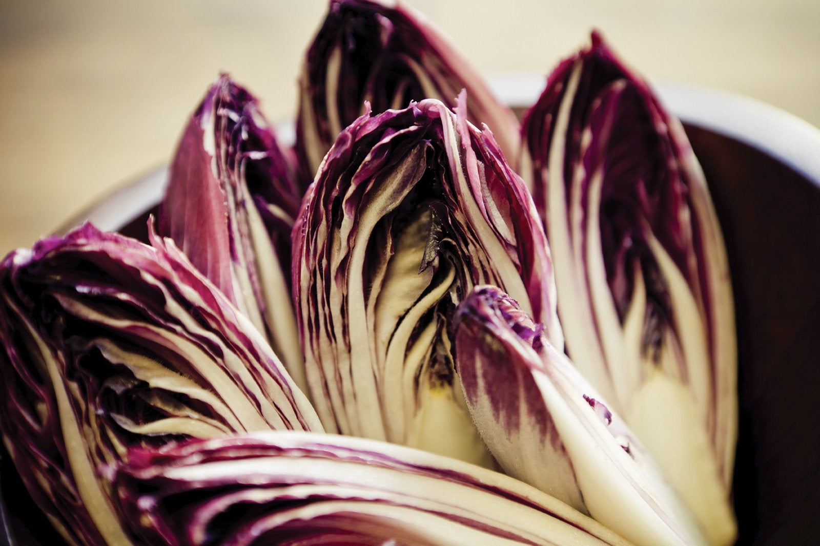 Benefits of chicory for pet's digestive health