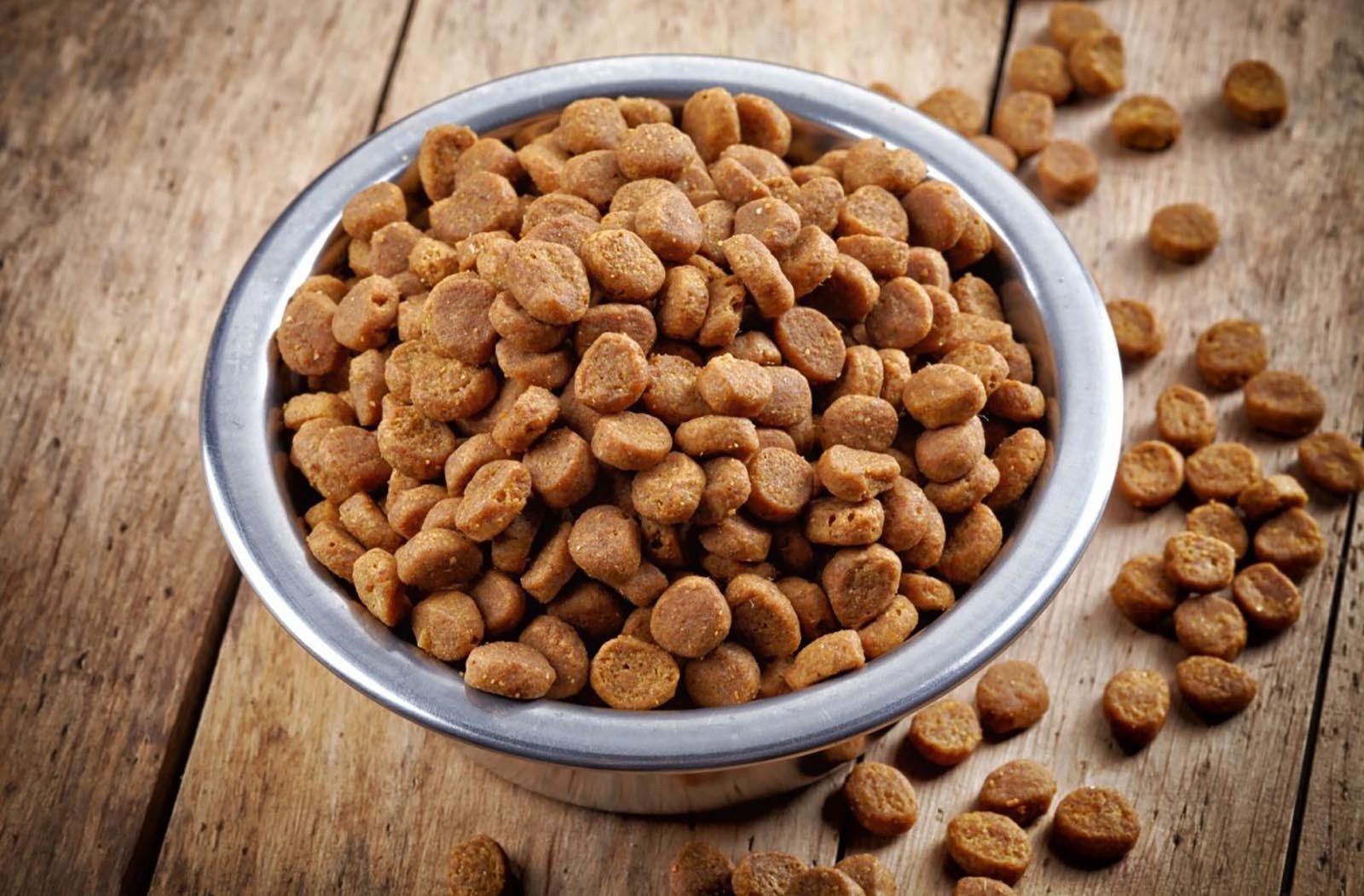 What Is Ash In Pet Food?