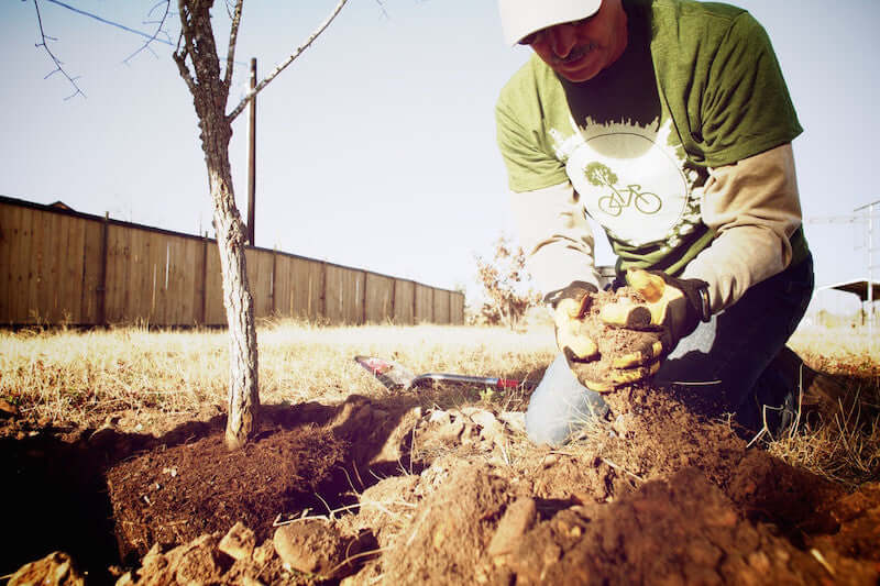 RETREET: Replanting Communities One Tree at A Time