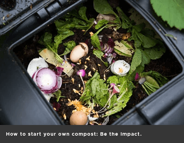 How to start your own compost: Be the Impact.