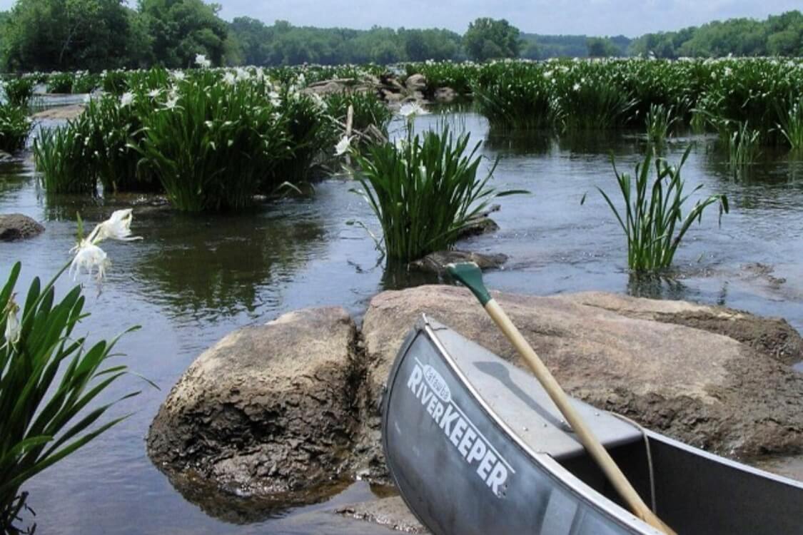 Catawba Riverkeeper’s Monthly Cleanup presented by Recover