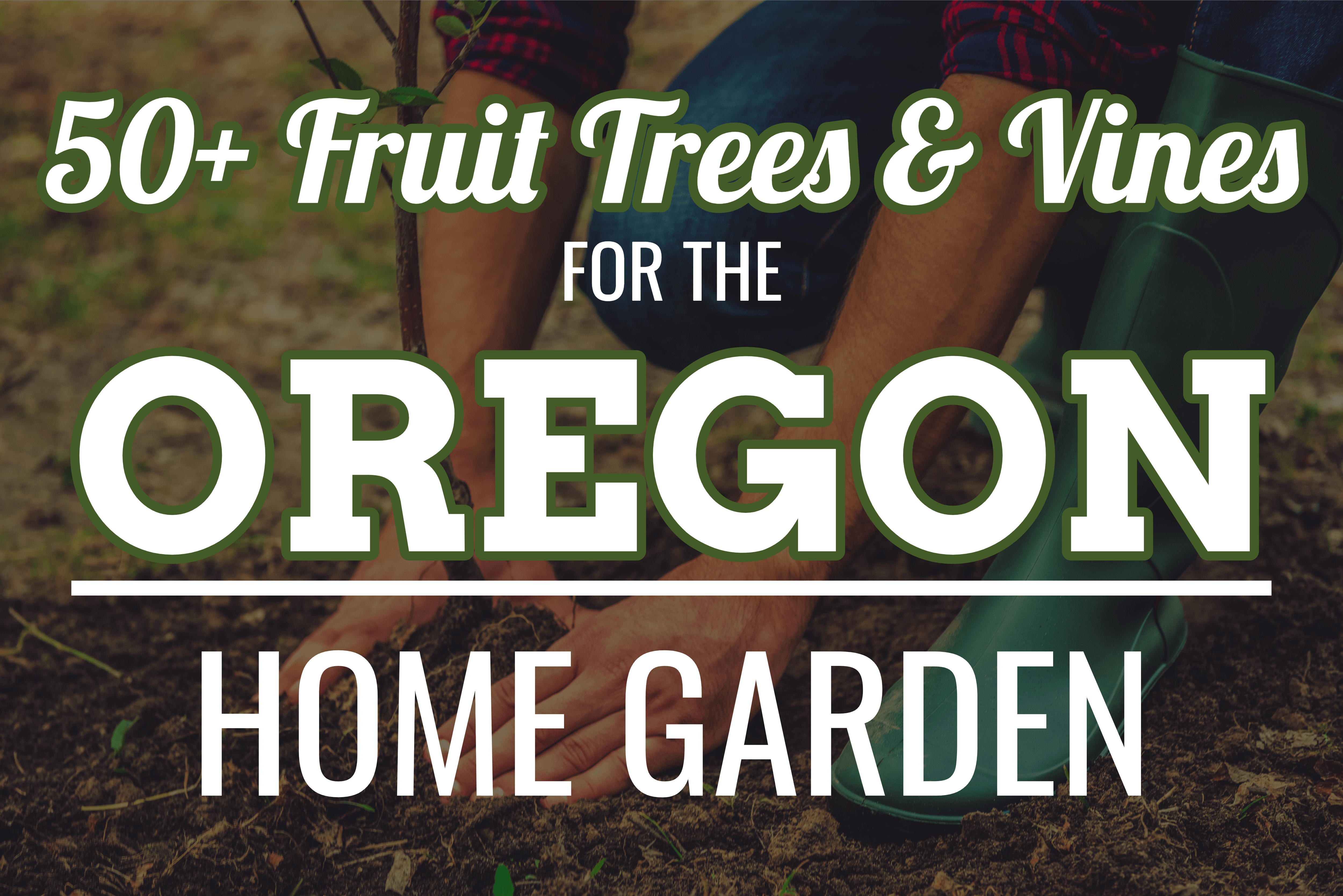 The Best Fruit Trees and Vines to grow in Oregon!