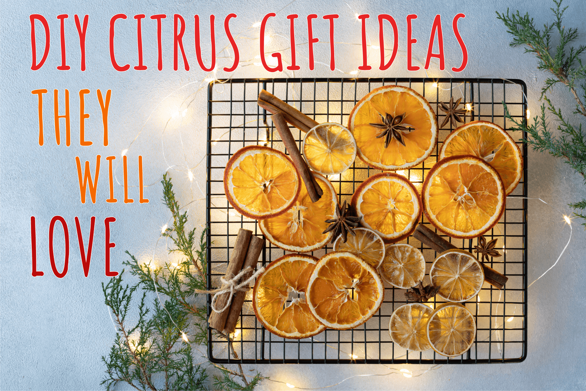 DIY Citrus Gifts Ideas They Will Love