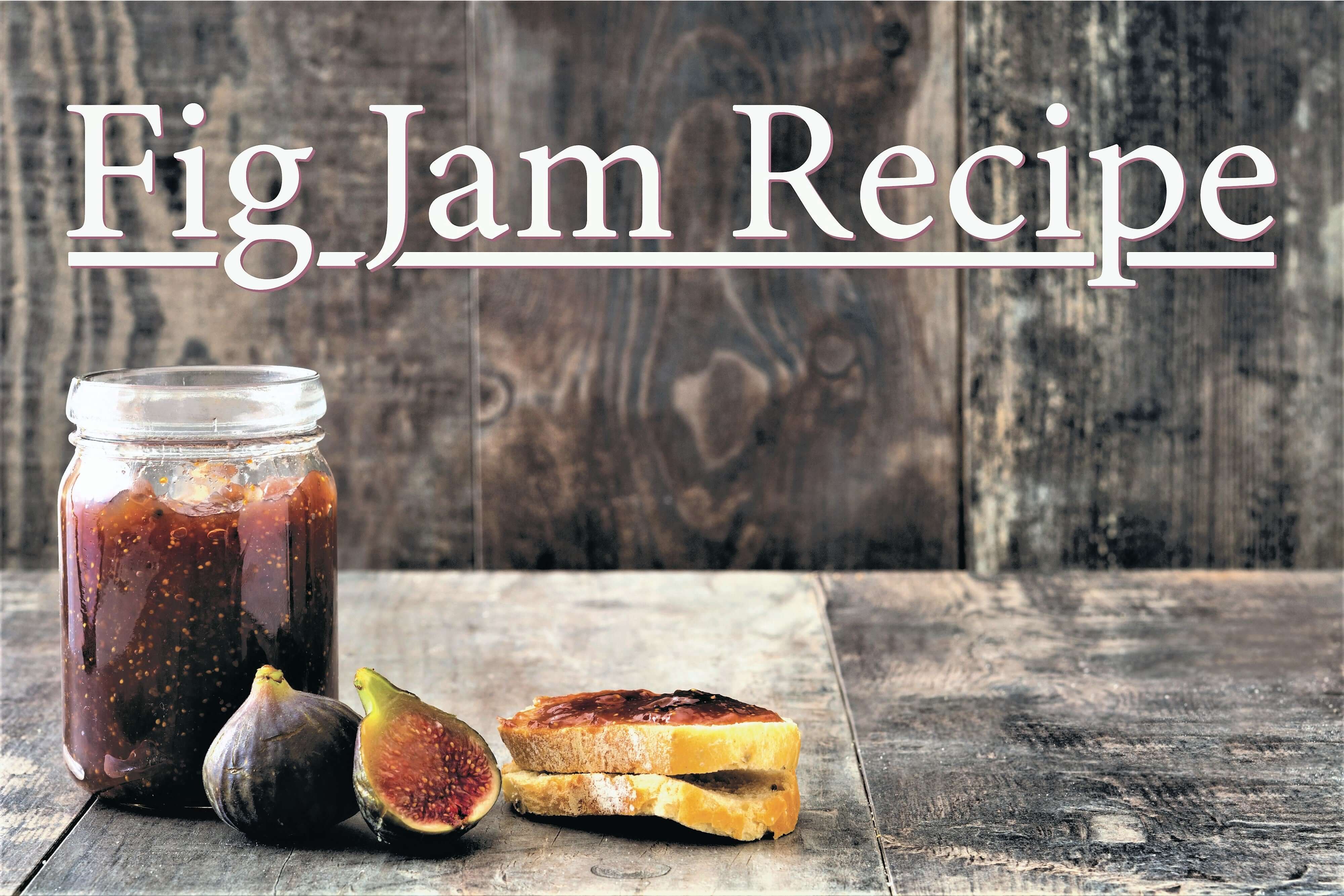 Fig Jam Recipe!